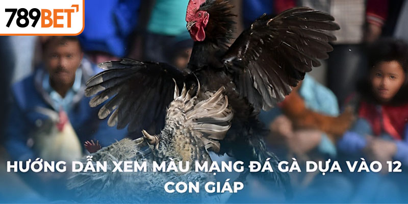 Hướng dẫn xem màu mạng gà đá dựa vào 12 con giáp